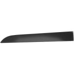 2001 - 2004 Toyota Tacoma Front Bumper Filler (Left / Driver Side)