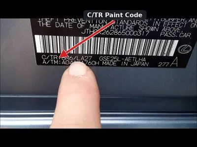 Manufacturer sticker located in the driver's side door jamb of a Lexus IS, highlighting the C/TR paint code.