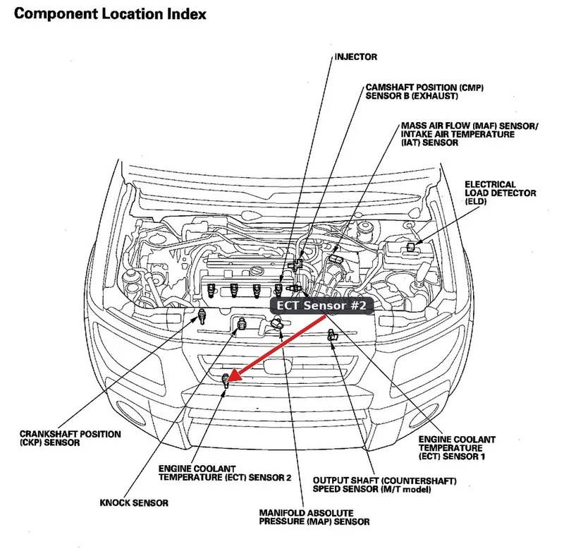 An engine coolant temperature sensor installed in the lower radiator or cooling system.