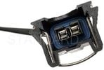 Back Up Light Switch Connector