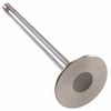 Engine Exhaust Valve