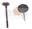 Engine Intake Valve