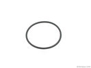 Engine Water Pump O-Ring