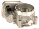 Fuel Injection Throttle Body
