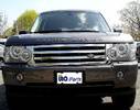 Grille Insert