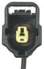 Oil Pressure Switch Connector