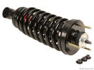 Suspension Strut and Coil Spring Assembly