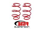 Suspension Struts / Shocks / Coil Springs / Camber Plate Kit