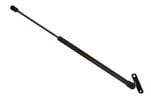 Trunk Lid Lift Support