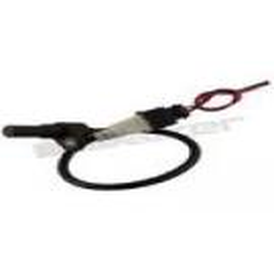 Engine Crankshaft Position Sensor
