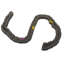 Engine Timing Chain
